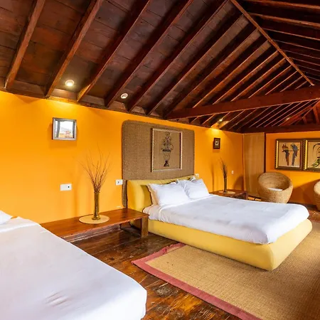 Live Orotava Antigua Attic National Heritage Apartment *