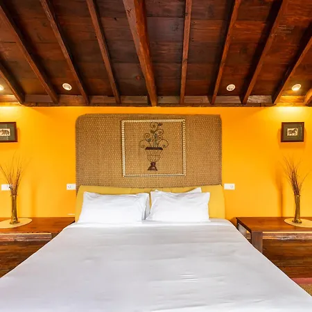 Apartment Live Orotava Antigua Attic National Heritage La Orotava